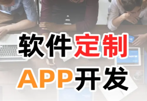 软件开发、 H5商城、小程序开发 、网站搭建、系统定制-安徽志景网络科技有限公司