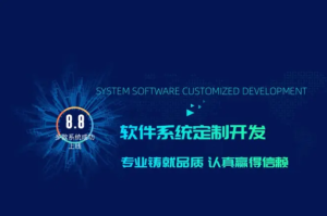 网站 ，小程序， App ，商城， 等各类IT系统SaaS版与定制开发-安徽志景网络科技有限公司