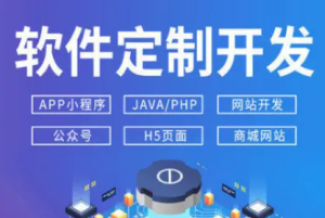 软件开发、小程序开发、网站建设、APP开发-安徽志景网络科技有限公司
